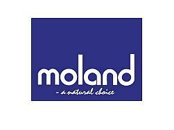 Moland