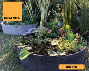Art Plast Nova Vita Giotto ATC.085.SB.AN